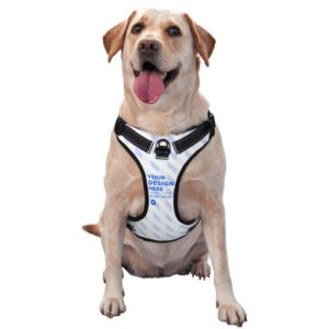 Pet traction vest